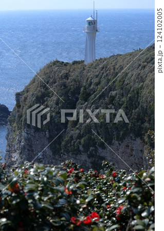 足摺岬灯台 椿咲く季節 (高知県 土佐清水市) 足摺岬灯台 椿咲く季節 (高知県 土佐清水市) 124102005