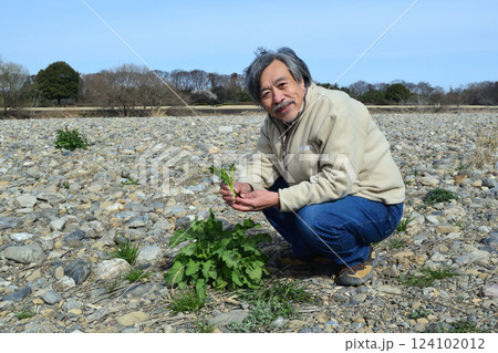 河原でからし菜の新芽を摘むおじさん 124102012