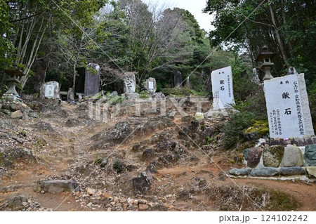 大宮浅間神社 大宮浅間神社 124102242