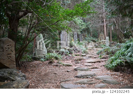 大宮浅間神社 124102245