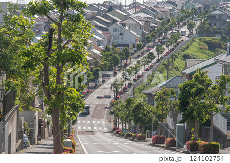 丘陵住宅街の街路 124102754
