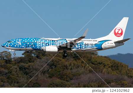 JAL737-800福岡空アブローチ 124102962