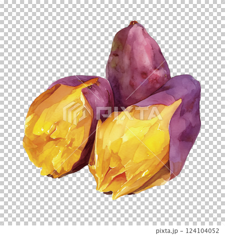 紅薯的水彩插圖 124104052