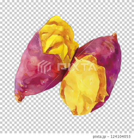 紅薯的水彩插圖 124104053