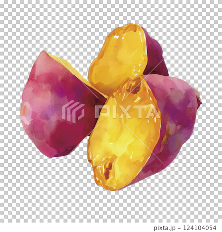 紅薯的水彩插圖 紅薯的水彩插圖 124104054