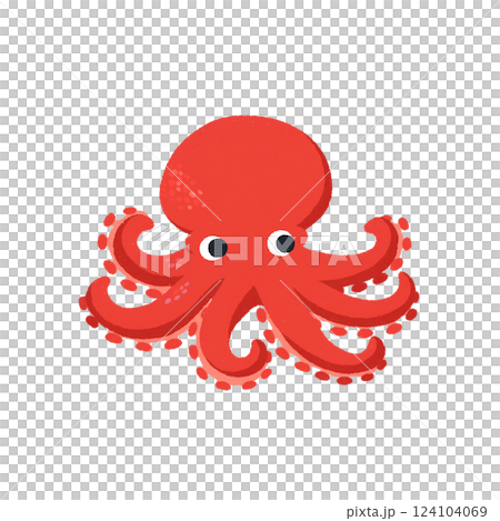 Octopus 124104069