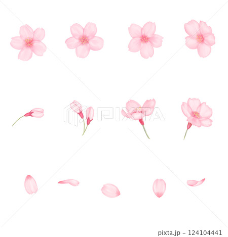 水彩風のリアルな桜のイラスト　単体 124104441