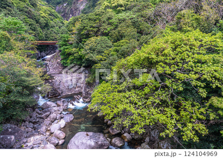 世界自然遺産屋久島 新緑の瀬切川渓谷 世界自然遺産屋久島 新緑の瀬切川渓谷 124104969