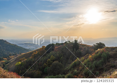 【秋】奈良公園 若草山からの眺望 【秋】奈良公園 若草山からの眺望 124105315