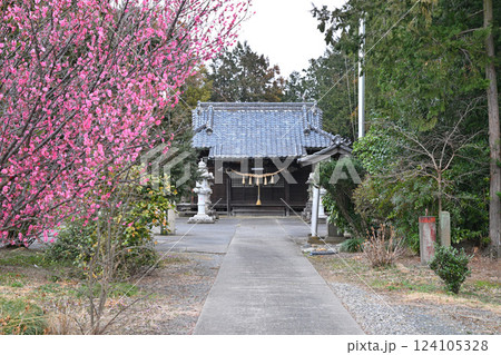 鴨田八幡神社　春の参道　拝殿　川越市 124105328