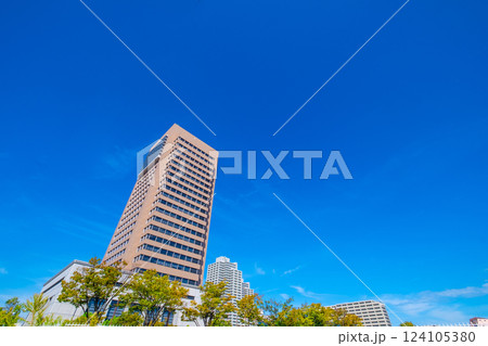 青空と東大阪市役所 青空と東大阪市役所 124105380