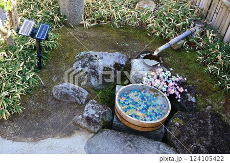 岩津天満宮、水みくじ 124105422