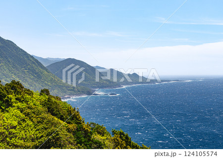 世界自然遺産屋久島　新緑に映える　西部林道地域 124105574
