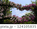 バラ　薔薇 124105835