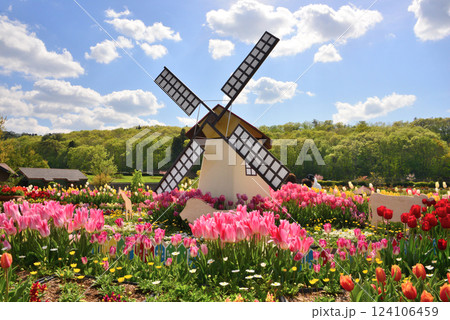 満開のチューリップ畑「越後長岡丘陵公園」 124106459