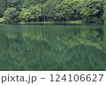夏の緑深い中綱湖 124106627