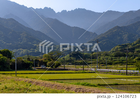 守り神 永田岳 世界自然遺産屋久島(春 守り神 永田岳 世界自然遺産屋久島(春 124106723