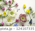 白背景に春の花の背景、クリスマスローズとビオラのフレーム 124107335