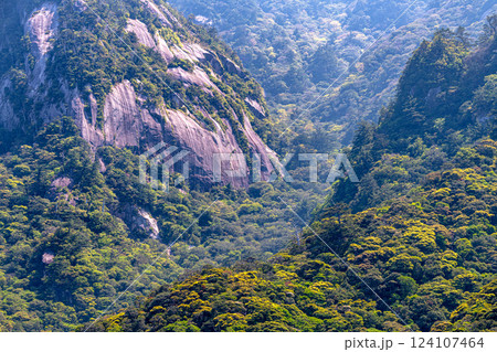 世界自然遺産屋久島 新緑が映える 神が宿る山 世界自然遺産屋久島 新緑が映える 神が宿る山 124107464
