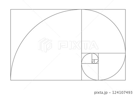 黄金比　螺旋 124107493