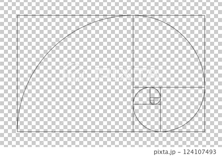 黄金比　螺旋 124107493