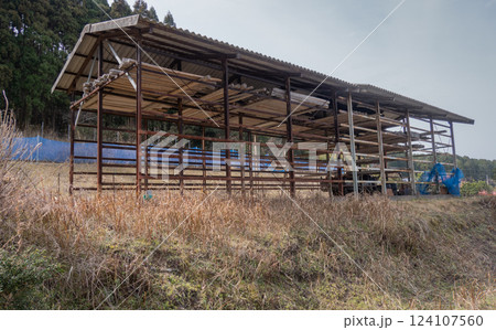 兵庫県淡路島の収穫前で空の玉ねぎ小屋 124107560