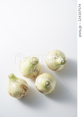 新玉ねぎ 新玉ねぎ 124107574