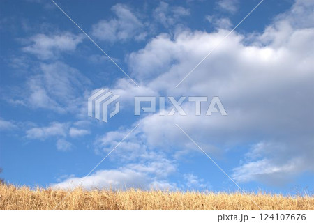 秋の青空と白い雲 124107676