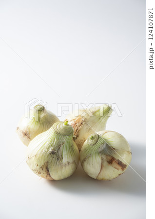 新玉ねぎ 新玉ねぎ 124107871