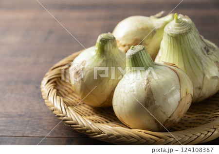 新玉ねぎ 124108387