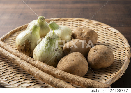 新玉ねぎと新ジャガイモと新ごぼう 124108777