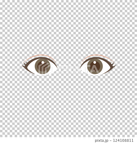 二重まぶたの両目のイラスト 二重まぶたの両目のイラスト 124108811