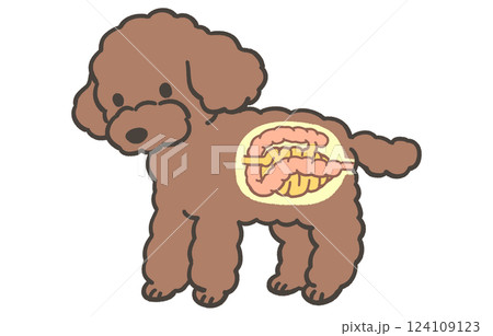 犬の腸の断面図 124109123