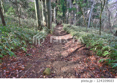 徳川道（西国往還付替道）摩耶　杣谷峠付近の現在の様子 124109683