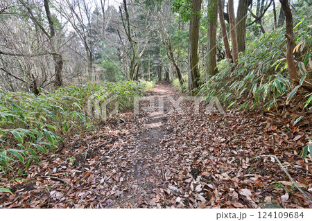 徳川道（西国往還付替道）摩耶　杣谷峠付近の現在の様子 124109684