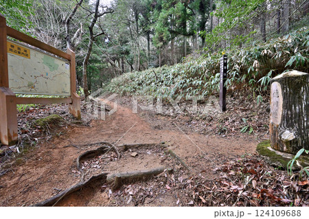 徳川道（西国往還付替道）摩耶　杣谷峠付近の現在の様子 124109688