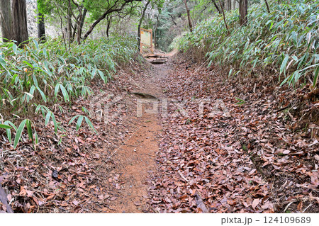 徳川道（西国往還付替道）摩耶　杣谷峠付近の現在の様子 124109689