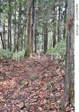 徳川道（西国往還付替道）摩耶　杣谷峠付近の現在の様子 124109690
