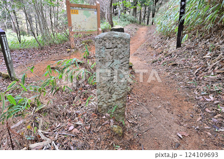 徳川道(西国往還付替道)摩耶 杣谷峠付近の現在の様子 徳川道(西国往還付替道)摩耶 杣谷峠付近の現在の様子 124109693