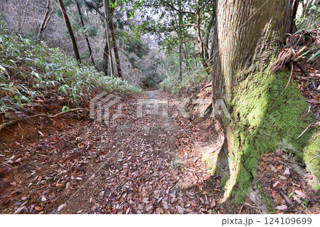 徳川道（西国往還付替道）摩耶　杣谷峠付近の現在の様子 124109699