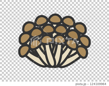 ブナシメジのアイコン(線画カラー)のイラスト ブナシメジのアイコン(線画カラー)のイラスト 124109964