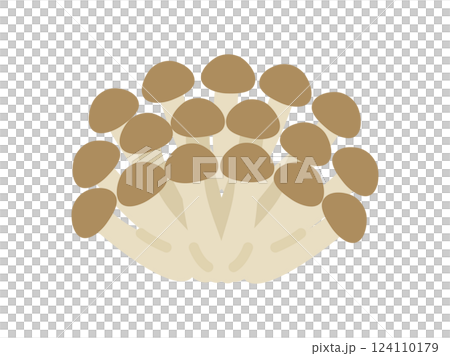 Bunashimeji 圖示說明 124110179