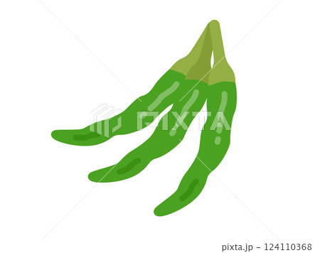 青唐辛子のアイコンのイラスト 124110368