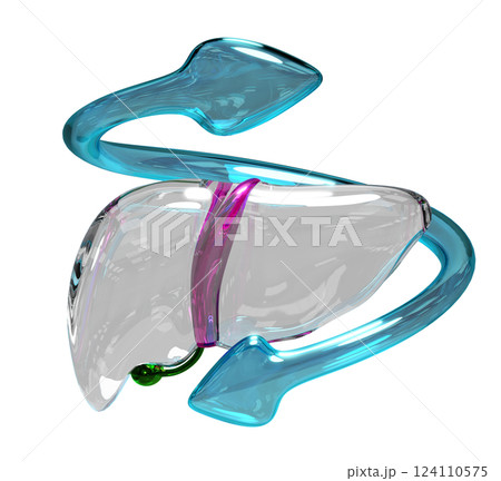 3d realistic human liver with arrow transparent isolated. check liver health, health love, world hepatitis day concept, 3d illustration render 3d realistic human liver with arrow transparent isolated. check liver health, health love, world hepatitis day concept, 3d illustration render 124110575