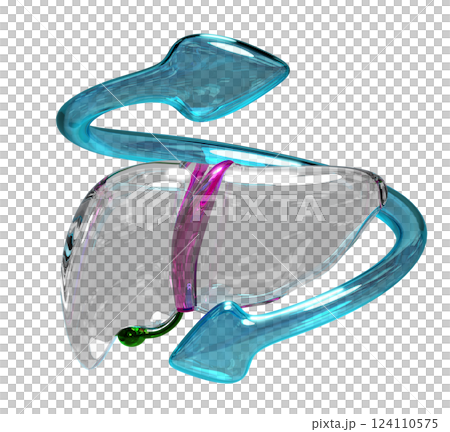 3d realistic human liver with arrow transparent isolated. check liver health, health love, world hepatitis day concept, 3d illustration render 3d realistic human liver with arrow transparent isolated. check liver health, health love, world hepatitis day concept, 3d illustration render 124110575
