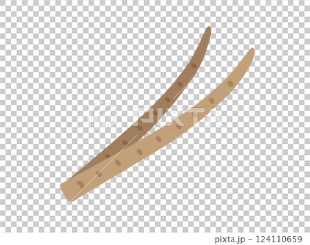 牛蒡圖示說明 124110659