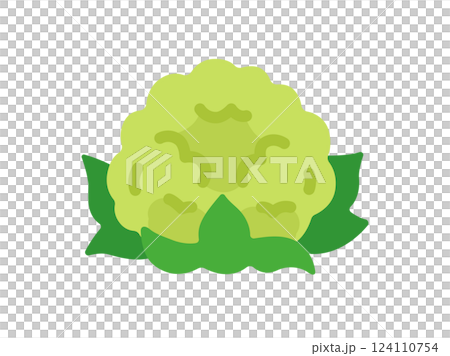 綠色花椰菜圖示插圖 124110754