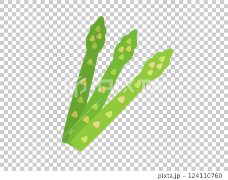Illustration of asparagus icon 124110760