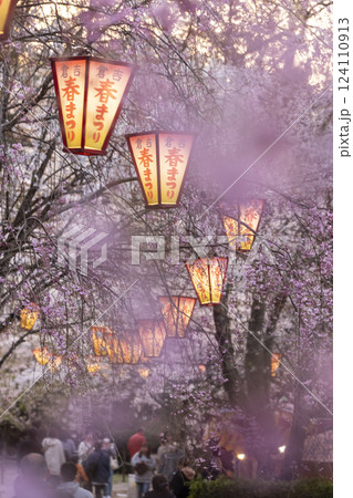 夜桜 打吹公園 夜桜 打吹公園 124110913