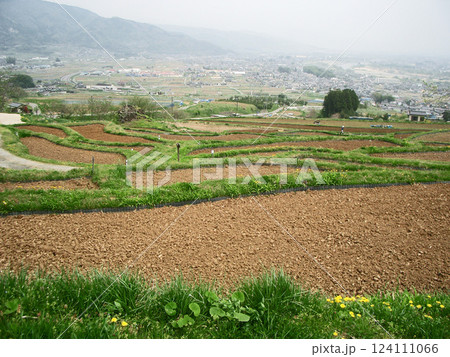 長野県千曲市の姨捨の棚田（田起こし） 124111066